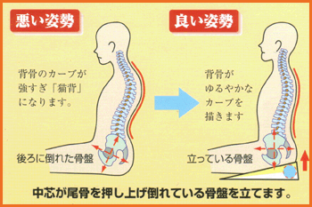 腰痛を改善するための座りの正しい姿勢